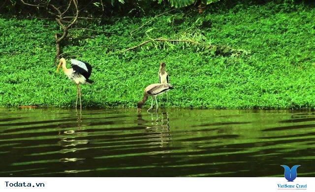 Điều thú vị ở Singapore Zoo Hình ảnh 2 Điều thú vị ở Singapore Zoo Hình ảnh 2