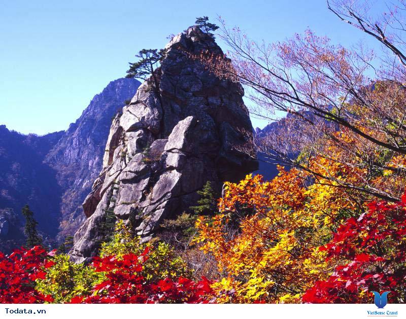 Đỉnh Khủng Long, núi Seorak Hình ảnh 6