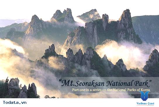 Đỉnh Khủng Long, núi Seorak Hình ảnh 4