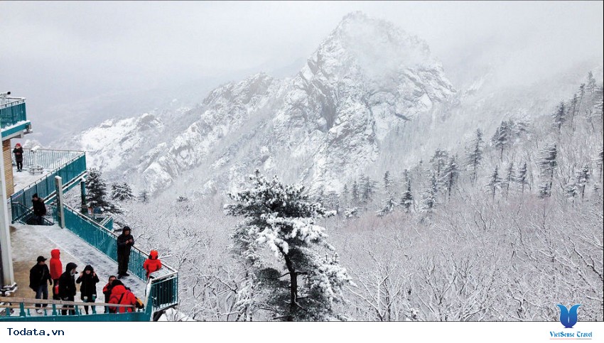 Đỉnh Khủng Long, núi Seorak Hình ảnh 11