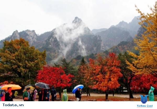 Đỉnh Khủng Long, núi Seorak Hình ảnh 5