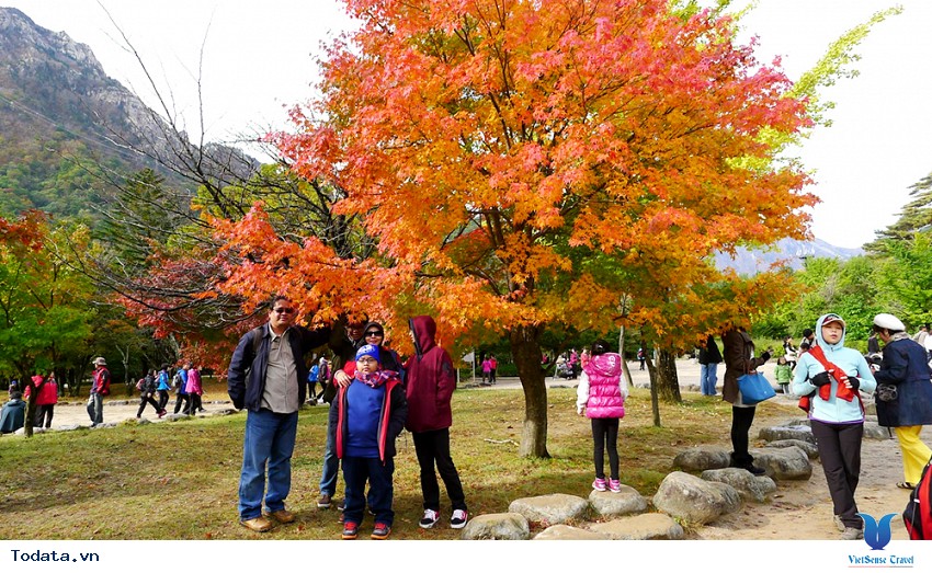 Đỉnh Khủng Long, núi Seorak Hình ảnh 15