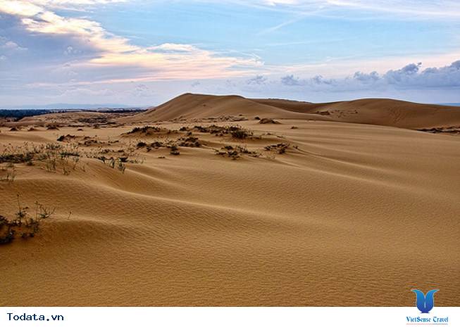 Đồi cát Quang Phú Hình ảnh 3 Đồi cát Quang Phú Hình ảnh 3