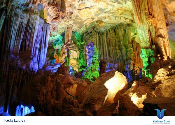 Động Phong Nha Hình ảnh 3