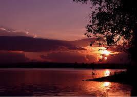 Dòng Sông Đắk Bla – Dải Lụa Óng Ả Giữa Lòng Kon Tum Hình ảnh 3 Dòng Sông Đắk Bla – Dải Lụa Óng Ả Giữa Lòng Kon Tum Hình ảnh 3