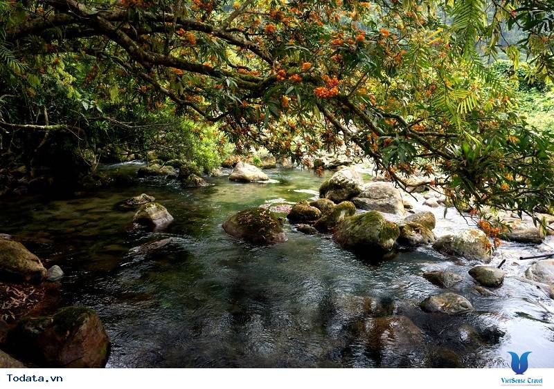 Động Thiên Đường – Suối nước Moọc Hình ảnh 4 Động Thiên Đường – Suối nước Moọc Hình ảnh 4