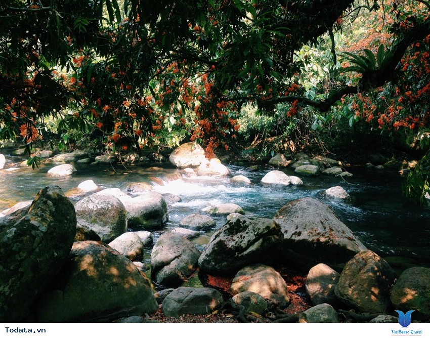 Động Thiên Đường – Suối nước Moọc Hình ảnh 2 Động Thiên Đường – Suối nước Moọc Hình ảnh 2