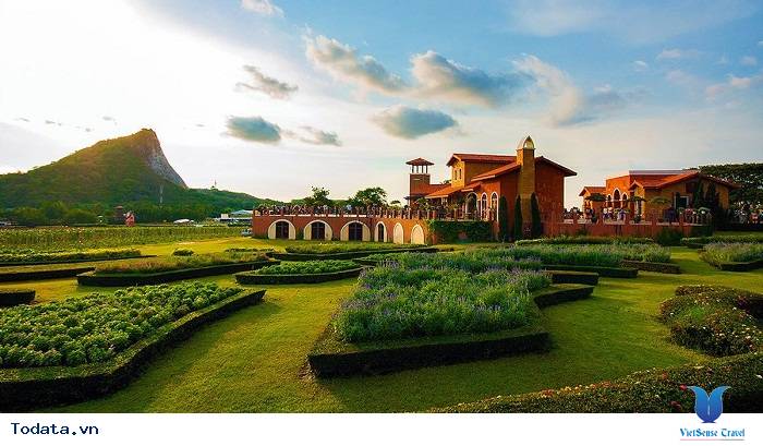 Du Ngoạn vườn nho Silver Lake Hình ảnh 2 Du Ngoạn vườn nho Silver Lake Hình ảnh 2