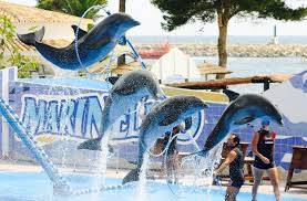 Dubai Dolphinarium- Điểm Tham Quan Hào Nhoáng Ở Dubai Hình ảnh 2