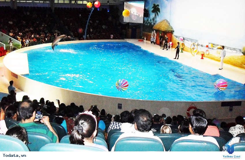 Dubai Dolphinarium Hình ảnh 4