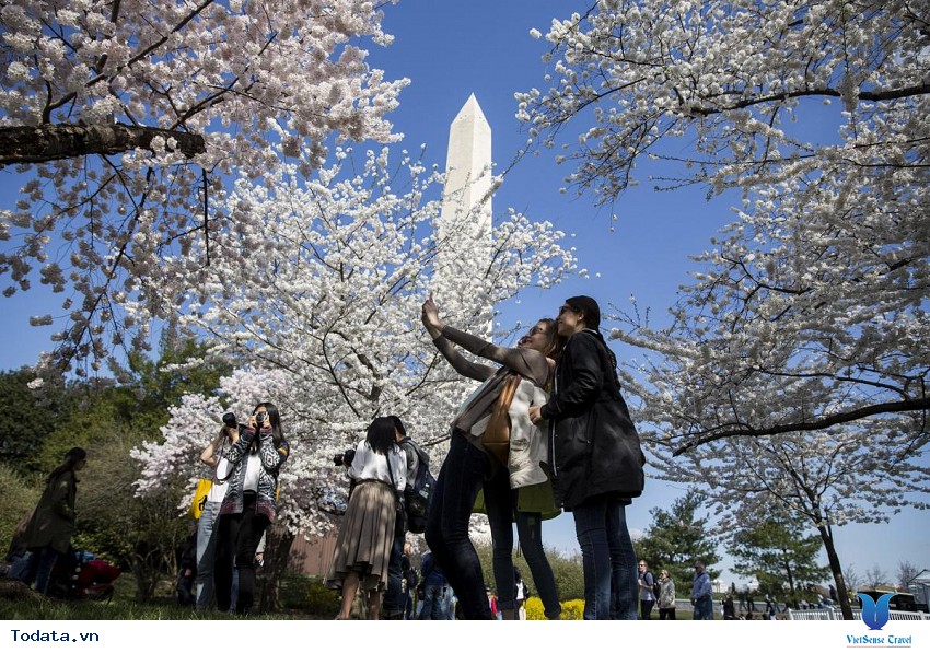 Eerland- Công Viên Giải Trí Lớn Nhất Hàn Quốc Hình ảnh 2