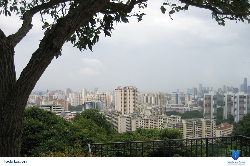 faber mountain, một trong những công viên lâu đời nhất Singapore Hình ảnh 2 faber mountain, một trong những công viên lâu đời nhất Singapore Hình ảnh 2