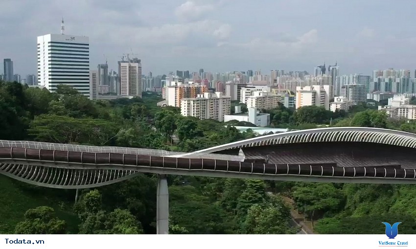 Faber Mountain, vẻ đẹp thiên nhiên trên đỉnh núi Hình ảnh 1