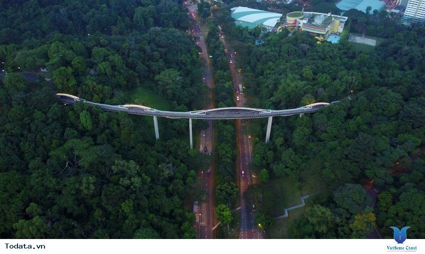 Faber Mountain, vẻ đẹp thiên nhiên trên đỉnh núi Hình ảnh 4