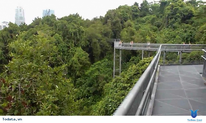 Faber Mountain, vẻ đẹp thiên nhiên trên đỉnh núi Hình ảnh 3