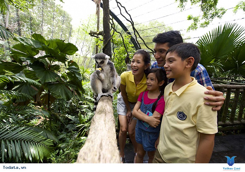 Gần gũi thiên nhiên hơn khi đến Singapore Zoo Hình ảnh 2