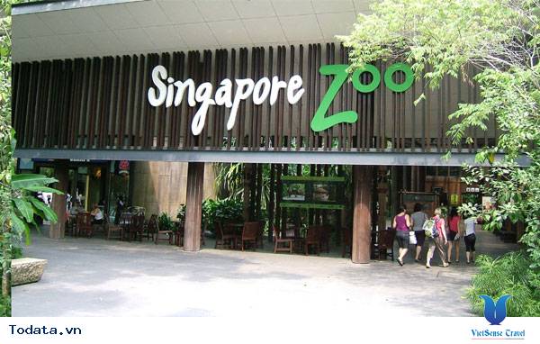Gần gũi thiên nhiên hơn khi đến Singapore Zoo Hình ảnh 1