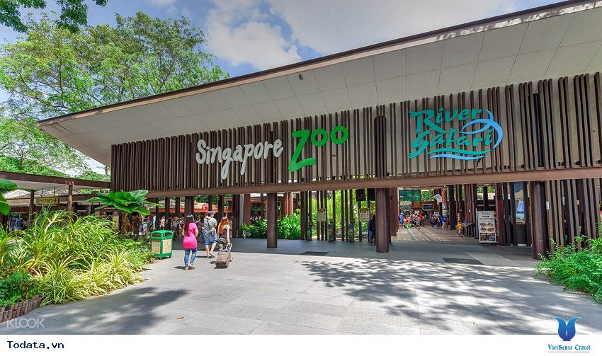 Gần gũi thiên nhiên hơn khi đến Singapore Zoo Hình ảnh 3