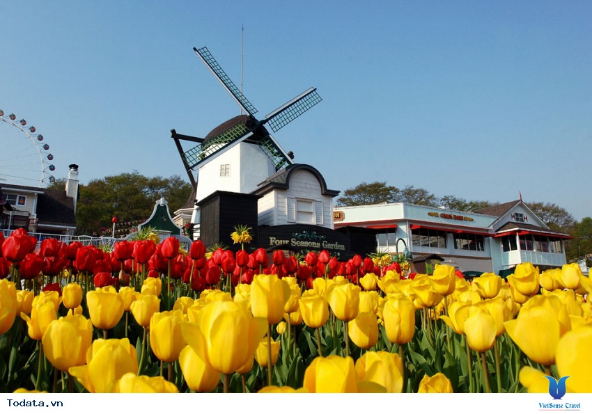 Gangwon Bốn Mùa Diễm Lệ Hình ảnh 1 Gangwon Bốn Mùa Diễm Lệ Hình ảnh 1