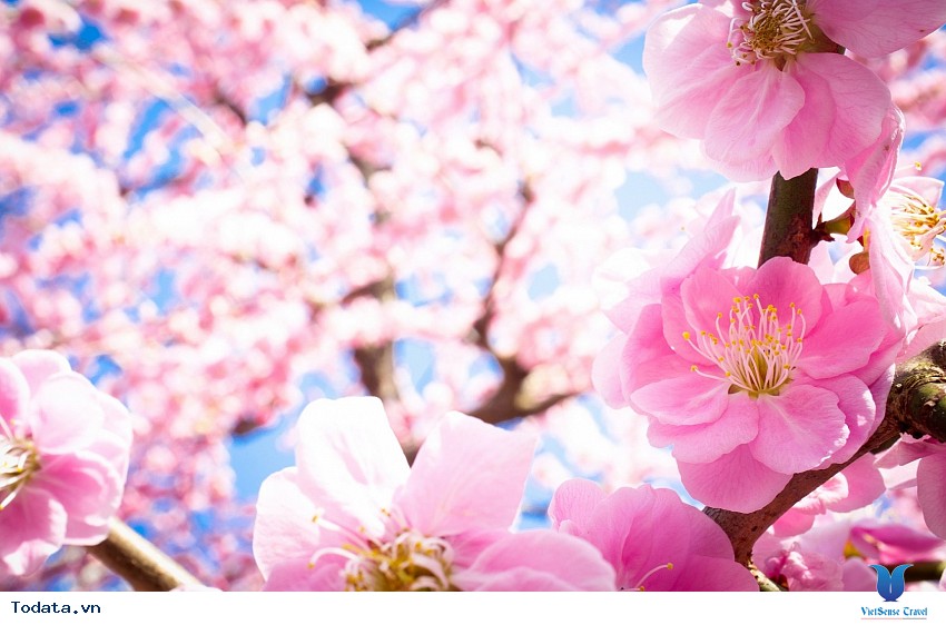 Gangwon Bốn Mùa Diễm Lệ Hình ảnh 4 Gangwon Bốn Mùa Diễm Lệ Hình ảnh 4