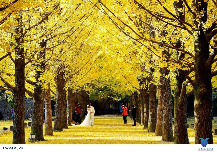 Gangwon Bốn Mùa Diễm Lệ Hình ảnh 2 Gangwon Bốn Mùa Diễm Lệ Hình ảnh 2