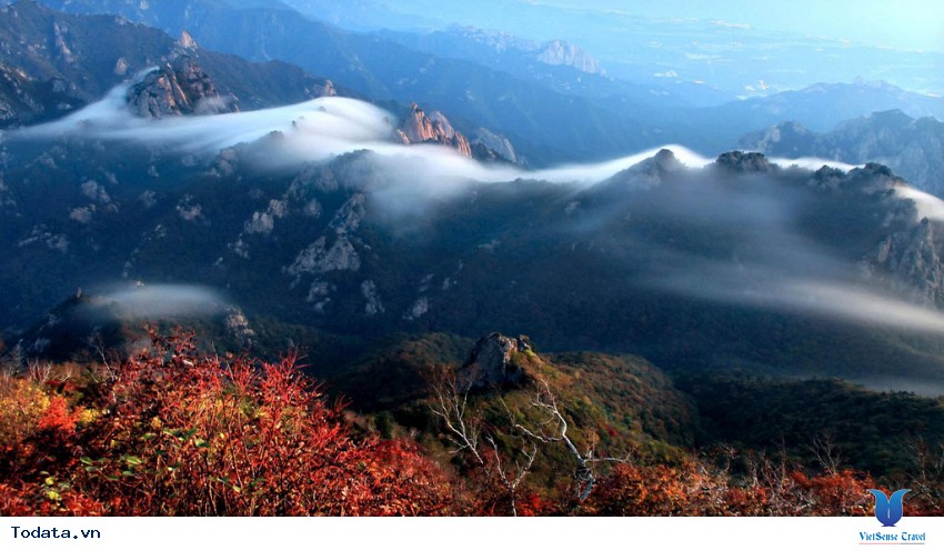 Gangwon Bốn Mùa Diễm Lệ Hình ảnh 3 Gangwon Bốn Mùa Diễm Lệ Hình ảnh 3