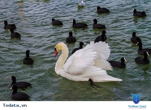 Giới thiệu về Hintha Gon Pagoda Hình ảnh 1