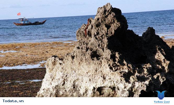 Hang Câu, tác phẩm thiên nhiên hùng vĩ Hình ảnh 1 Hang Câu, tác phẩm thiên nhiên hùng vĩ Hình ảnh 1