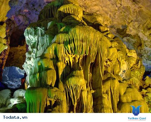 Hang Đầu Gỗ Hình ảnh 4