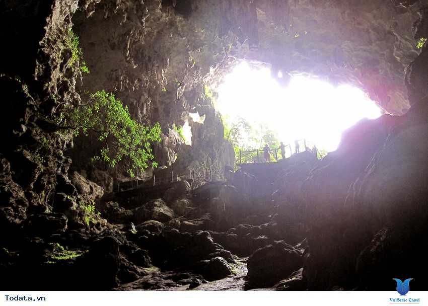 Hang Đầu Gỗ Hình ảnh 9