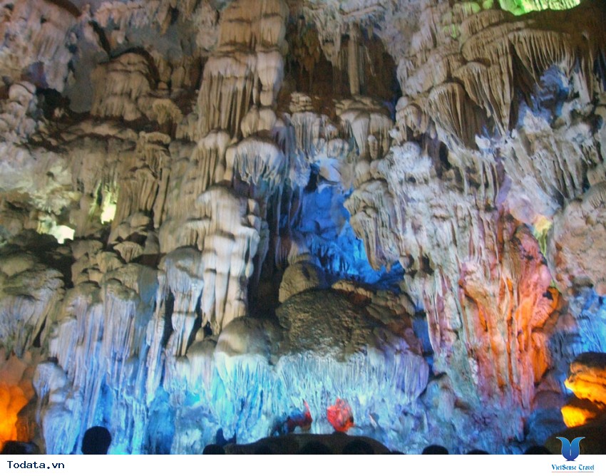 Hang Đầu Gỗ Hình ảnh 5