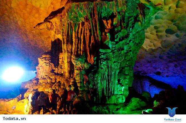 Hang Đầu Gỗ Hình ảnh 6