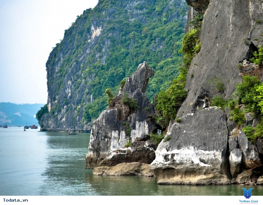 Hang Thiên Cảnh Sơn Hình ảnh 4 Hang Thiên Cảnh Sơn Hình ảnh 4