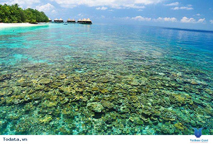 Hành trình trải nghiệm đảo san hô Coral Hình ảnh 2 Hành trình trải nghiệm đảo san hô Coral Hình ảnh 2