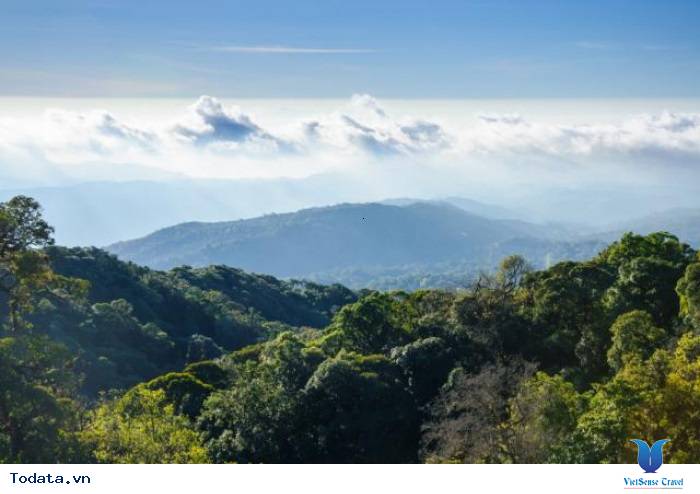 Hình ảnh Công Viên Quốc Gia Doi Inthanon, Thái Lan Hình ảnh 10 Hình ảnh Công Viên Quốc Gia Doi Inthanon, Thái Lan Hình ảnh 10