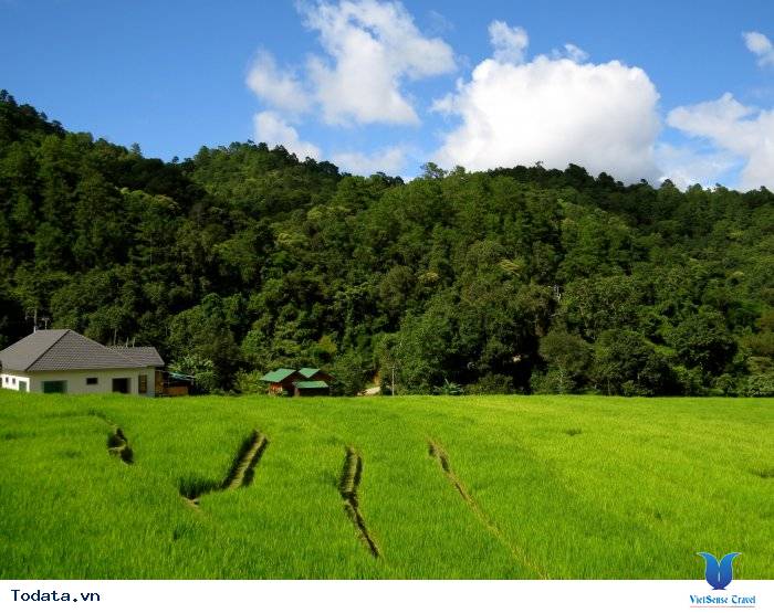 Hình ảnh Công Viên Quốc Gia Doi Inthanon, Thái Lan Hình ảnh 6 Hình ảnh Công Viên Quốc Gia Doi Inthanon, Thái Lan Hình ảnh 6