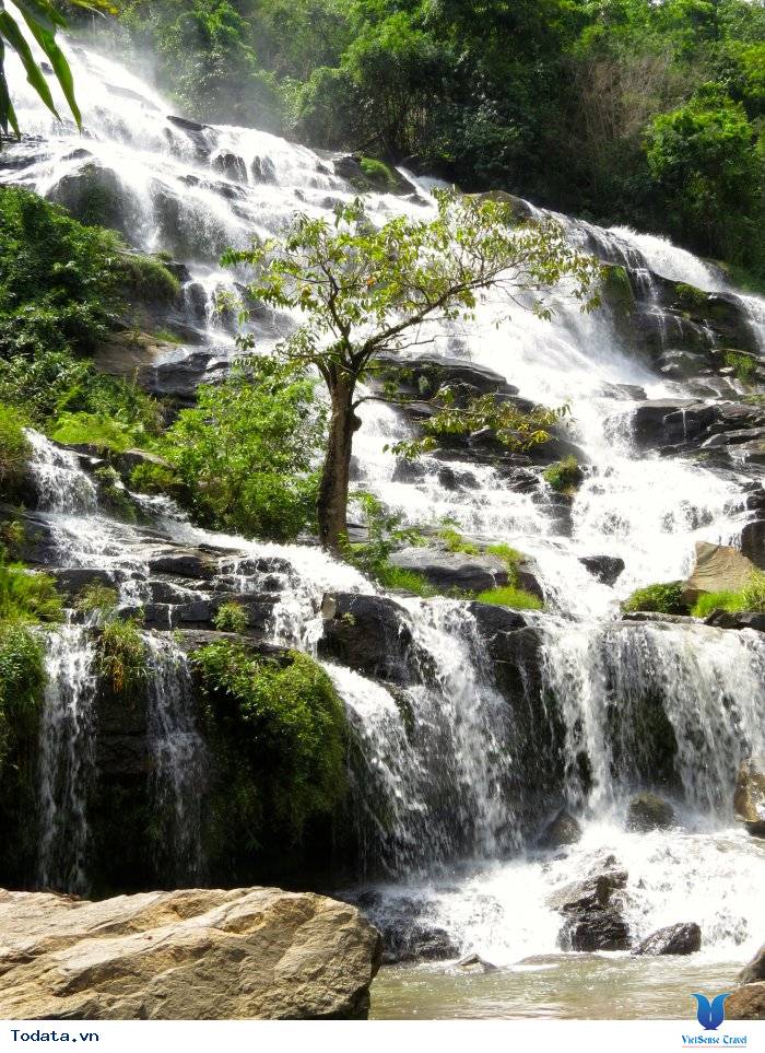 Hình ảnh Công Viên Quốc Gia Doi Inthanon, Thái Lan Hình ảnh 7 Hình ảnh Công Viên Quốc Gia Doi Inthanon, Thái Lan Hình ảnh 7