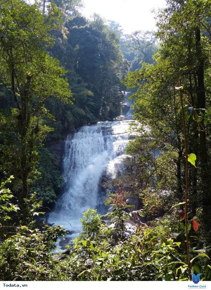 Hình ảnh Công Viên Quốc Gia Doi Inthanon, Thái Lan Hình ảnh 8 Hình ảnh Công Viên Quốc Gia Doi Inthanon, Thái Lan Hình ảnh 8