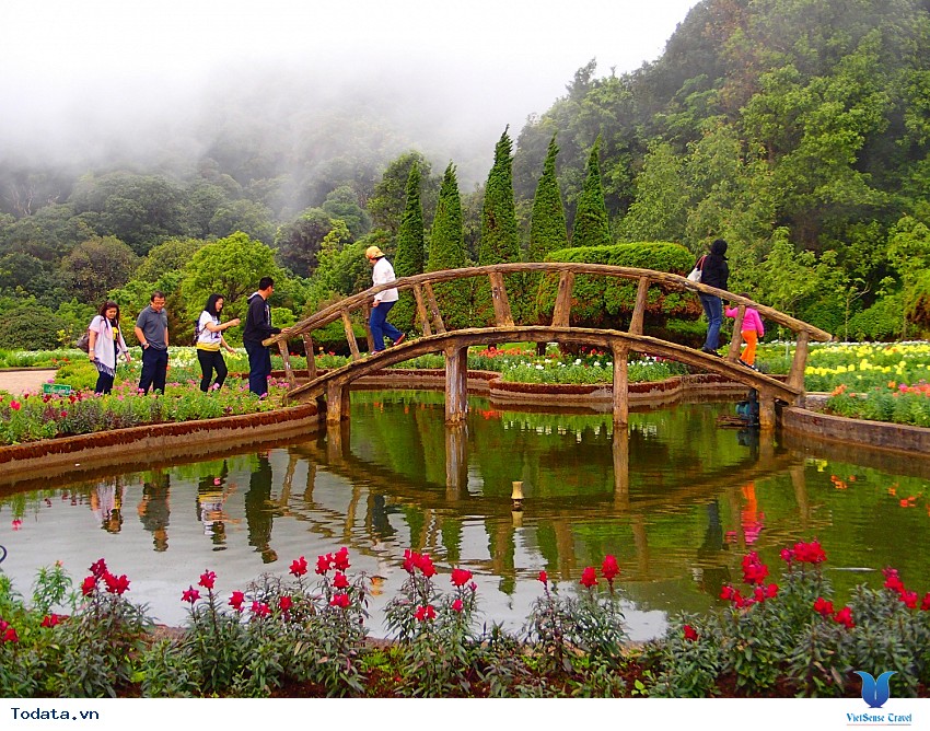 Hình ảnh Công Viên Quốc Gia Doi Inthanon, Thái Lan Hình ảnh 5 Hình ảnh Công Viên Quốc Gia Doi Inthanon, Thái Lan Hình ảnh 5