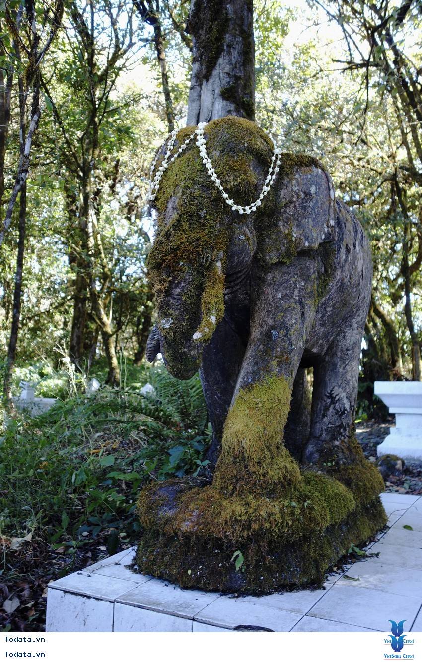 Hình ảnh Công Viên Quốc Gia Doi Inthanon, Thái Lan Hình ảnh 4 Hình ảnh Công Viên Quốc Gia Doi Inthanon, Thái Lan Hình ảnh 4