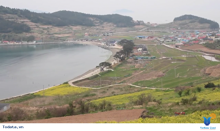 Hình ảnh thực tế chuyến đi đến Cheongsando Hàn Quốc Hình ảnh 1