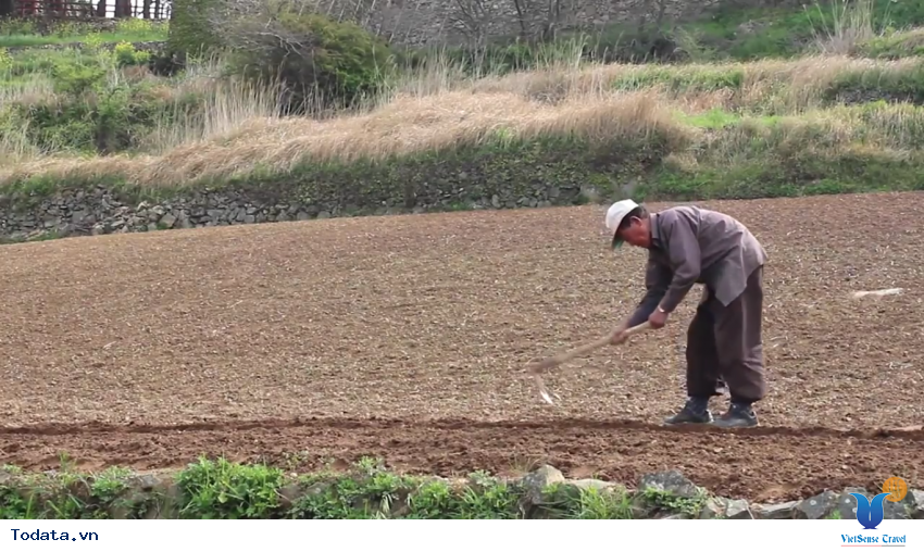 Hình ảnh thực tế chuyến đi đến Cheongsando Hàn Quốc Hình ảnh 2