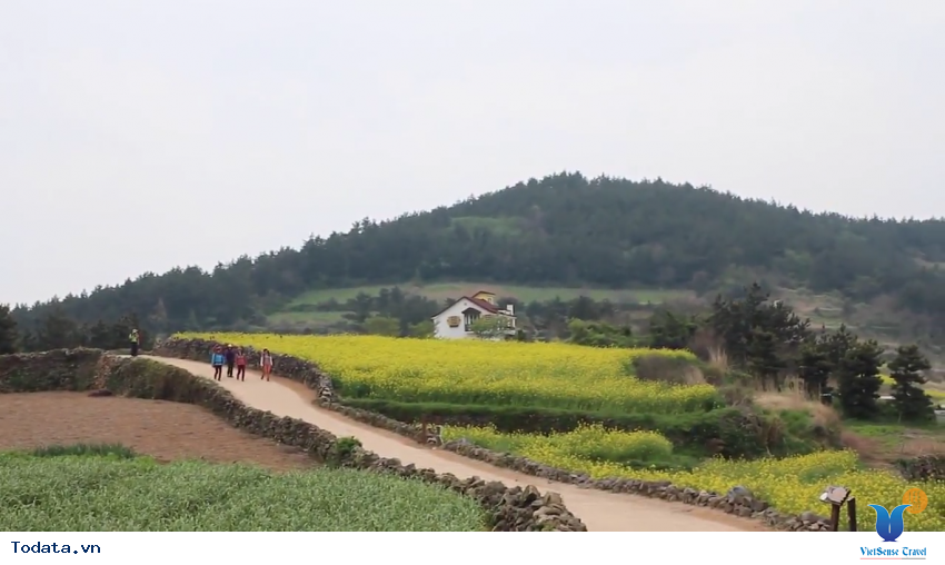 Hình ảnh thực tế chuyến đi đến Cheongsando Hàn Quốc Hình ảnh 3