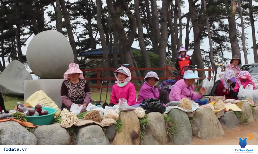 Hình ảnh thực tế chuyến đi đến Cheongsando Hàn Quốc Hình ảnh 5