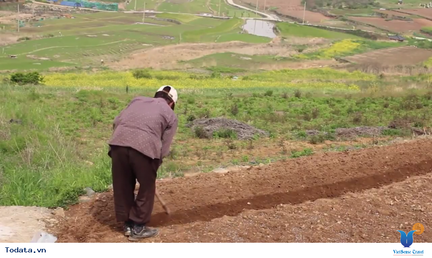 Hình ảnh thực tế chuyến đi đến Cheongsando Hàn Quốc Hình ảnh 9