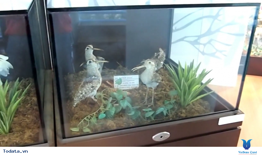 Hình ảnh thực tế chuyến du lịch đến Tỉnh Gangwon, Hàn Quốc Hình ảnh 18