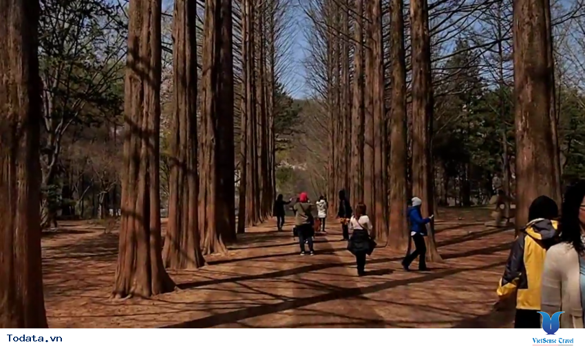 Hình ảnh thực tế chuyến du lịch đến Tỉnh Gangwon, Hàn Quốc Hình ảnh 16