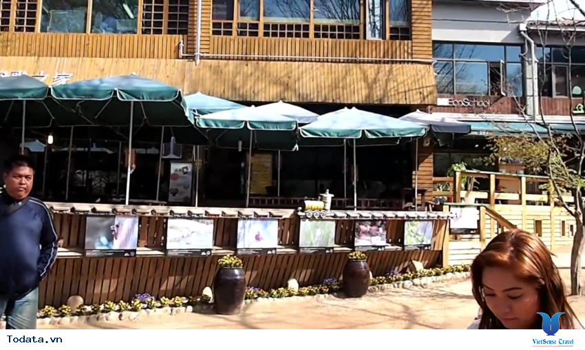 Hình ảnh thực tế chuyến du lịch đến Tỉnh Gangwon, Hàn Quốc Hình ảnh 7