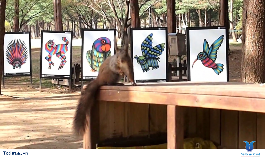 Hình ảnh thực tế chuyến du lịch đến Tỉnh Gangwon, Hàn Quốc Hình ảnh 17