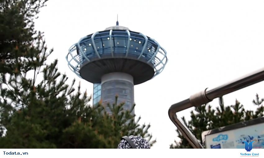 Hình ảnh thực tế chuyến du lịch đến Tỉnh Gangwon, Hàn Quốc Hình ảnh 13